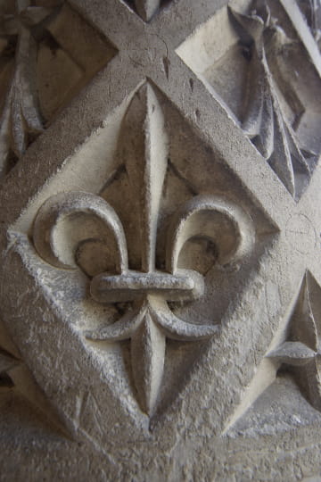 Château royal de Blois - Fleur de lys royale ©Cécile Marino